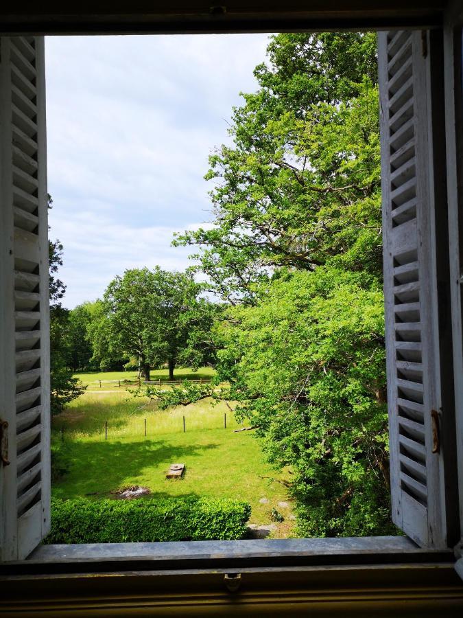 Chateau De Beauchene Chambres D'Hotes Allogny Bagian luar foto